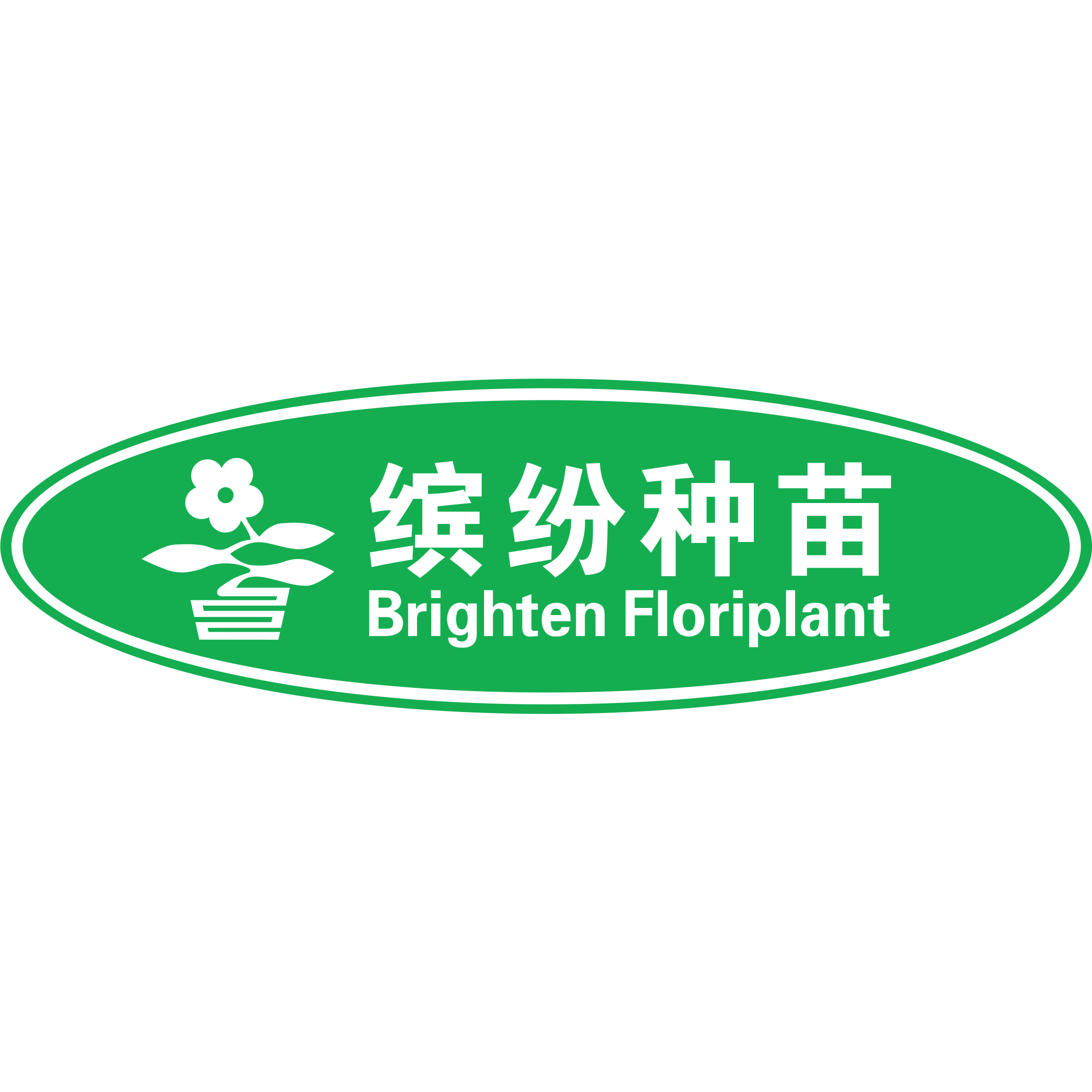 缤纷种苗
