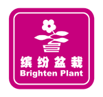 缤纷盆栽